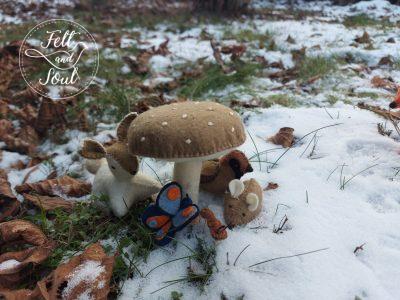 gyapjúfilc gomba blog illusztráció